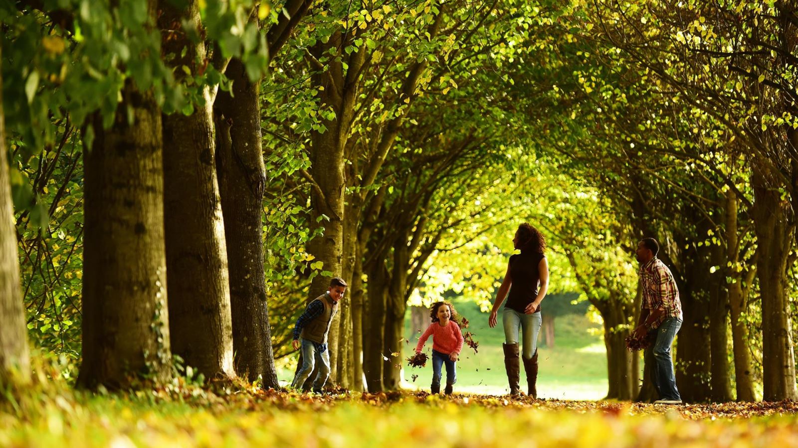 Family playing in autumn leaves Castle Ward